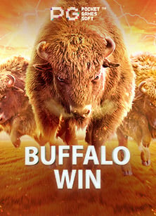 เว็บพนัน แม่ แหล่งรวมความสนุกและโอกาสชนะ